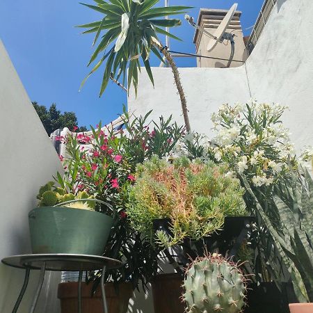 Historic Center Private Terrace Apartment Malaga Exterior photo