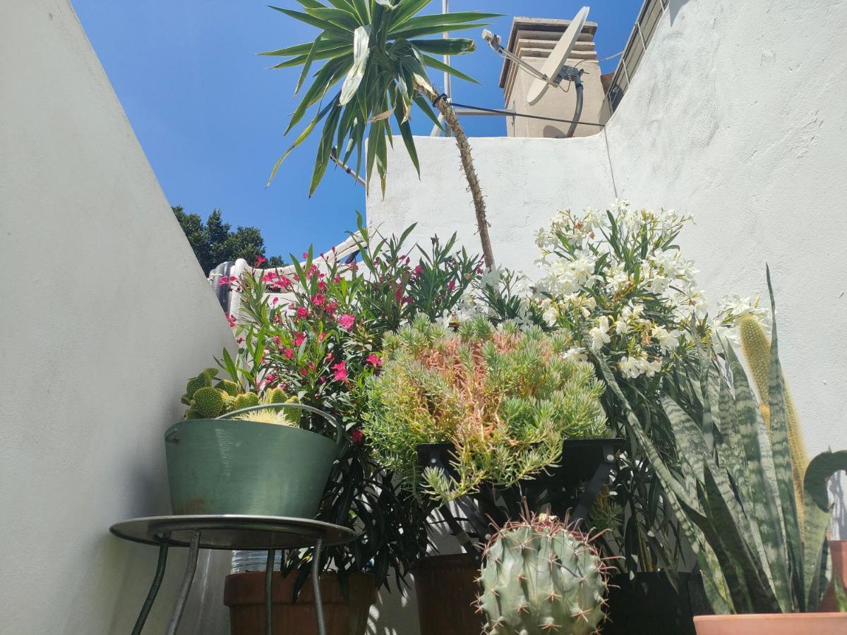 Historic Center Private Terrace Apartment Malaga Exterior photo